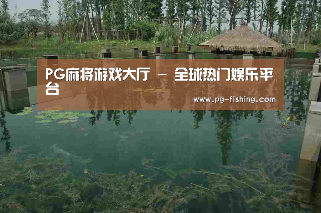 案例展示二(图1)