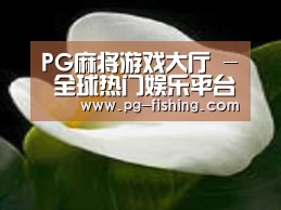 产品名称七