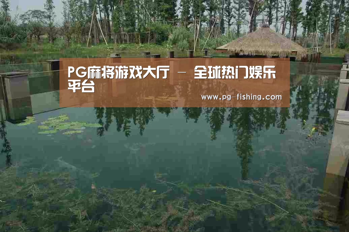 案例展示二