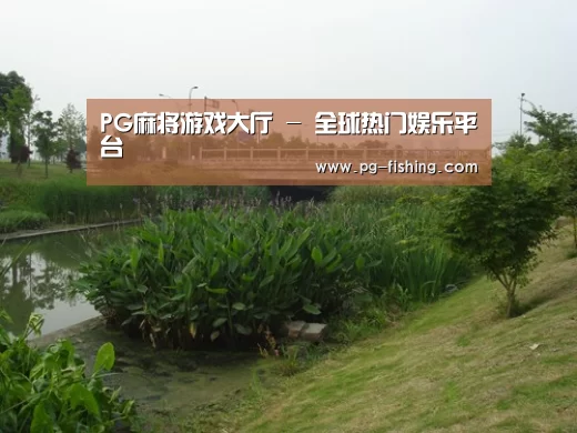 案例展示四