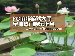 产品名称一