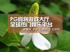产品名称三