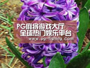产品名称八