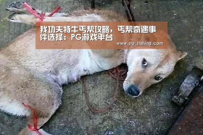 我功夫特牛丐帮攻略,丐帮奇遇事件选择:PG游戏平台(图1) PG麻将游戏大厅