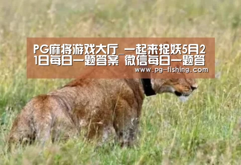 PG麻将游戏大厅_一起来捉妖5月21日每日一题答案 微信每日一题答案(图1) PG游戏平台