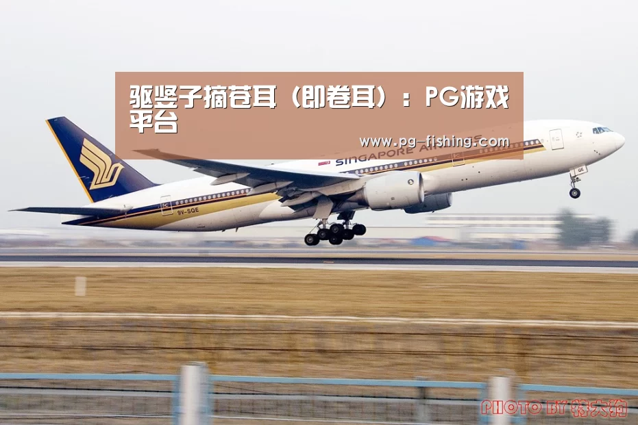 PG麻将官网
