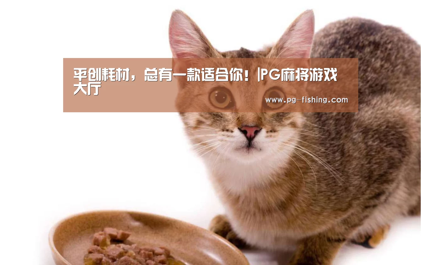 平创耗材,总有一款适合你!|PG麻将游戏大厅(图4) PG游戏平台