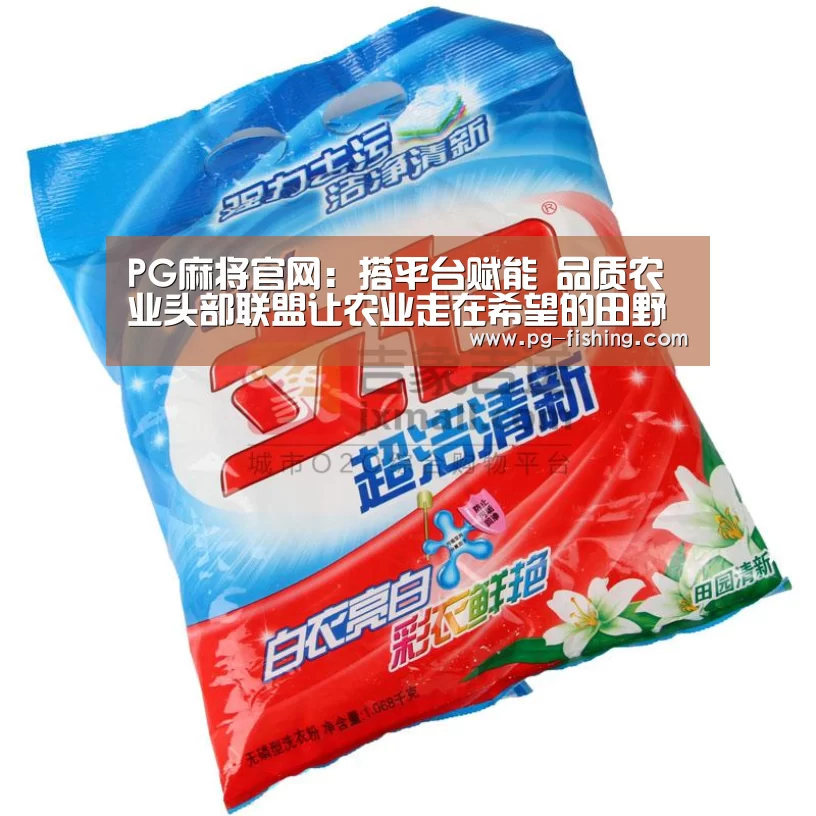 PG麻将官网