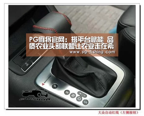 PG麻将官网